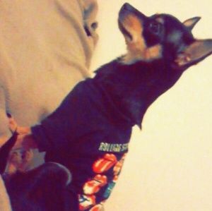 Meet your Posher, Mark